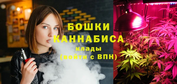 apvp Алзамай