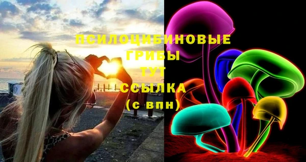 спайс Алексеевка